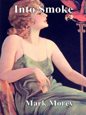 cover image of Into Smoke